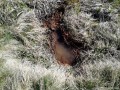 Rompáca borvíz - Csíkajnád A rompácai borvíz-forrás Csíkajnád Rompáca borvíz forrás