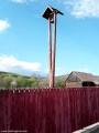 Ré - Csíkajnád Csöngettyű a kerítés mögött Csíkajnád Ré