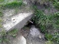 A híd melleti forrás A híd melleti forrás