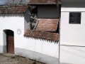 Kislevelű hárs a templomkertben - Homoródszentmárton Zoltán Aladár zeneszerző emléktáblája Homoródszentmárton kislevelű hárs unitárius templom