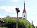 Gólyafészek Gólyafészek