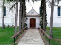 A bejárathoz vezető fenyőfasor A bejárathoz vezető fenyőfasor