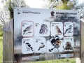 Mirkvásári öreg tölgyfás legelő A geopark madarai Mirkvásár öreg tölgyfás legelő