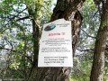 Erődtemplom - Szászfehéregyháza Figyelmeztetés Szászfehéregyháza evangélikus erődtemplom parasztvár
