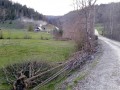 Tőzegláp az Oroszok-patakánál - Bélbor Az út melletti legelő Bélbor tőzegláp Oroszok pataka