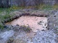 Dobrán-forrás - Bélbor Egykori borvizes medence Bélbor Dobrán forrás borvízmocsár tőzegláp