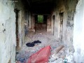 Elhagyott épületek - Marosvásárhely Folyosó Rókatelep Marosvásárhely
