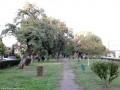 Szentgyörgy-téri park