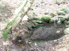 A Fehéres-patak vízesései Állandó tavacska Fehéres patak vízesés