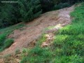 Alsótiszáspataki borvíz - Tusnádfürdő 3360 Alsótiszáspataki borvíz Tusnádfürdő