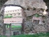 Szelindek vára Szelindek vára 12 Szelindek Stolzenburg vár