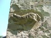 Oroszlánt ábrázoló féldombormű