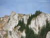 Vigyázó-kő Juhok az Öcsém-tetőn Vigyázó kő
