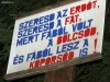 Szeresd az erdőt Hammas Zsombor fürdő Bálványosfürdő