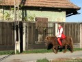SZNM 1 Bereck - Gábor Áron szobra Van aki így menetelt Bereck