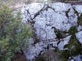 5475 Gyümölcsénes tető