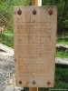 Sütei borvíz feredő A béke a szívedben... forrás borvíz feredő fürdő Sütei