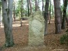 Székely Kálvária VII. Felbukva Székely Kálvária