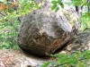 Hőség-domb kőtojása Kőtojás 4 Hőség domb kőtojás