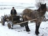 Aracs-patak völgye - Csíkcsomortán Helybeli gazda Csíkcsomortán Aracs patak völgye
