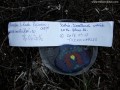 Tetőterasz - Madarasi Hargita Az eddigi bejegyzések Madarasi Hargita tetőterasz