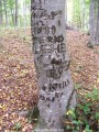 Tatárpincék a Csereoldalon - Nyárádszentsimon Egy másik játék bejegyzései :-( Tatárpincék Csereoldal Nyárádszentsimon