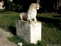 Birtokőrző oroszlán