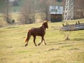 Szabadon - 3 Lucs-kő Hagymás-hegység