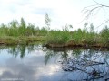 Moly-tó - Szentegyháza Moly-tó - 2 Moly-tó Szentegyháza