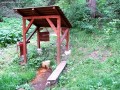 A forrás jelenlegi állapota A forrás jelenlegi állapota