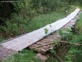 Fenyőkúti tőzegláp Bejárati rész Fenyőkút fenyőkúti tőzegláp
