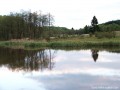 Szencsedi-tó vagy Fenyőkúti-tó Szencsedi-tó - 3 Szencsedi-tó Fenyőkúti-tó Szencsed nárciszmező nárcisz