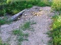 Xántusz-kastély romjai - Hosszúaszó Rögtönzött híd a patakon Xántusz-kastély Hosszúaszó