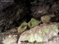 A barlang beltere