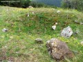 Várhegy - Homoródalmás Mélyedés Várhegy Homoródalmás Lövéte