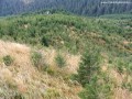 Kilátópont - Kakukk-hegy Vadles Kakukk hegy csúcs kilátó kilátópont