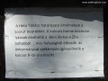 Tanácsi határozat Tanácsi határozat