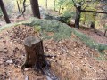 Kőerődítmény - Sólyom-kő - Gorzafalva A szikla teteje Sólyomkő kőerődítmény kővár erődítmény vár Sólyom kő