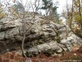 Kicsi kőüst Sólyom-kő Gorzafalva