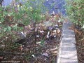 Bálintitt-kastélypark - Nagyernye Szemét a tó partján Nagyernye Bálintitt kastély báró kertje kastélypark
