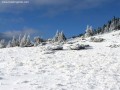 Felső-mező - Hagymás-hegység 8979 Felső mező Hagymás