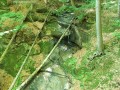 Velnica kőbánya vízesései Csordogáló-vízesés Velnica kőbánya vízesés zuhatag