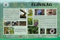Az élővilág bemutatása