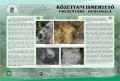 Kőzettani ismertető