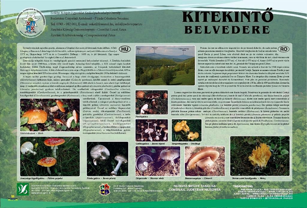 Kitekintő állomás Kitekintő a Görgényi-havasokra - Zeteváralja