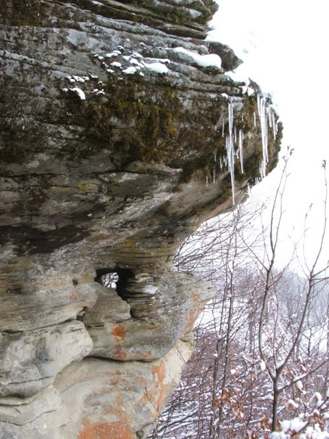 Henter-mező kőgombái