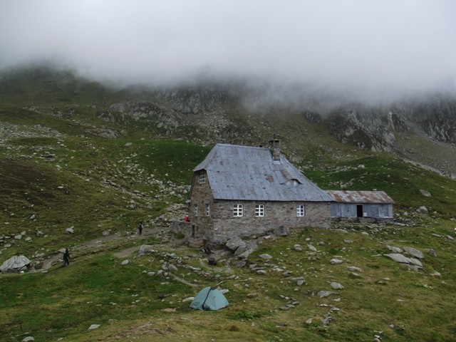 Podragu tavak - Fogarasi-havasok