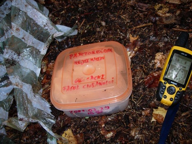 A geodoboz Pásztorbükk