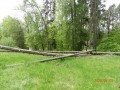 Csíky-kert - Gyergyószentmiklós Szélldöntés Csíki-kert Gyergyószentmiklós