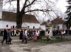 Koszorúzás Koszorúzás